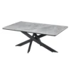 dining table T501