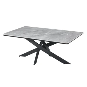 dining table T501