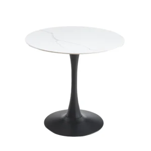 dining table T549