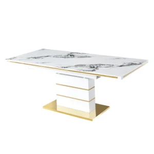 dining table T563-1