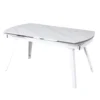 dining table T567