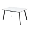 dining table T569