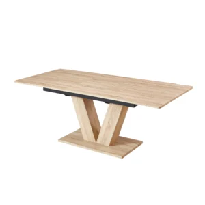 dining table T571-1