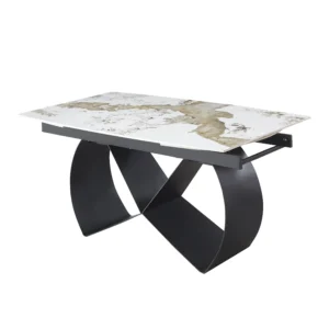 dining table T583